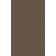 Бумага для пастели 21*29,7 160г LANA темно-коричневый