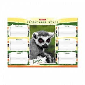 Расписание уроков А4 001020100-49715 ErichKrause® Lemur Style