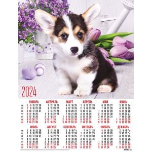Календарь А2 2024г. Животные 31030 Милый щенок корги в цветах