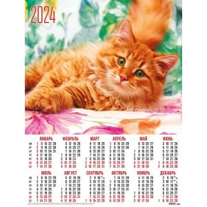 Календарь А2 2024г. Животные 31032 Рыжий котик