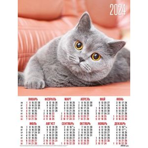 Календарь А2 2024г. Животные 31034 Кошки Серый британец