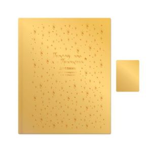 Дневник мл.кл. к/зам 9455 «Дневник принцессы» (золотой) экокожа soft-touch