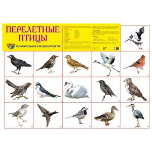Плакат А2 Птицы перелетные 978-5-9949-1830-2