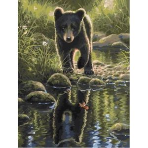 Картина по номерам на холсте 50х40 «Медвежонок» КН5040814