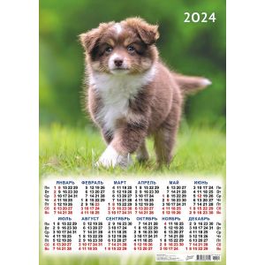 Календарь А2 2024г. Животные ПО-24-341 Собаки