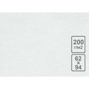 Бумага карт. тисненая «Скорлупа» 200г/м2 620х940 А1 БТС-1851