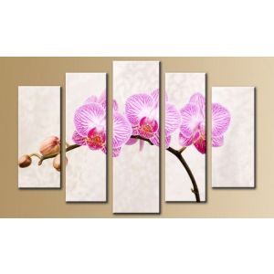 Картина модульная 80*140см Орхидея розовая на белом 653