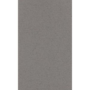Бумага для пастели 42*29,7 160г LANA стальной серый