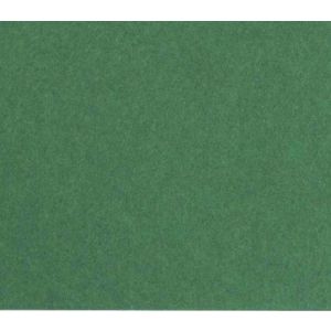 Бумага цветная А4 300г/м2 FOLIA зеленый еловый 614/1058