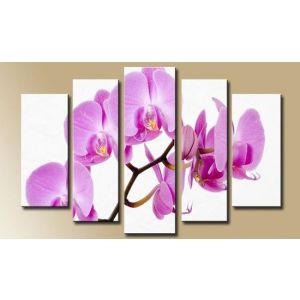 Картина модульная 80*140см Розовая орхидея-2 на белом 959