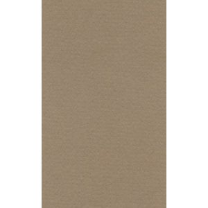 Бумага для пастели 21*29,7 160г LANA светло-коричневый