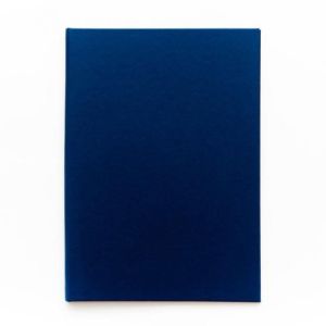 Папка для дипломных работ БЕЗ НАДПИСИ (Без бумаги) синяя 10ДР00