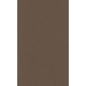 Бумага для пастели 21*29,7 160г LANA темно-коричневый