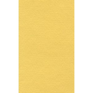 Бумага для пастели 42*29,7 160г LANA светло-желтый
