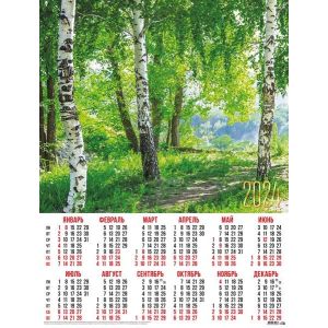 Календарь А2 2024г. Природа 30930 Березовая роща