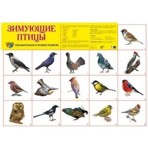 Плакат А2 Зимующие птицы 978-5-9949-1834-0