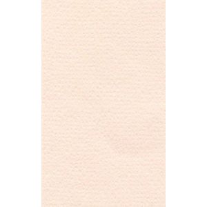 Бумага для пастели 50*65 25л LANA розовый кварц