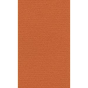 Бумага для пастели 21*29,7 160г LANA оранжевый