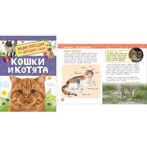 Энциклопедия для д/сада «Кошки и котята» 33889