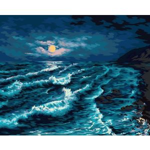 Картина 40х50 «Лунная ночь на море» PNB/PL-087 уценка сухие краски
