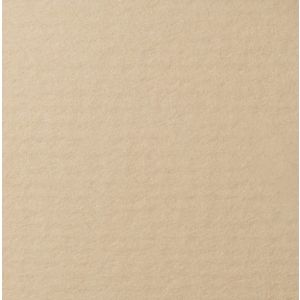 Бумага для пастели 42*29,7 160г LANA бело-серый 15723181