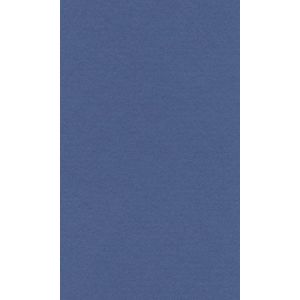 Бумага для пастели 21*29,7 160г LANA королевский голубой
