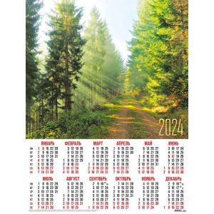 Календарь А2 2024г. Природа 31022 Лесная дорога