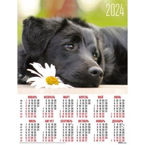 Календарь А2 2024г. Животные 31029 Собачка с ромашкой