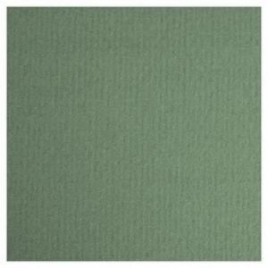 Бумага для пастели 21*29,7 160г LANA зеленый еловый