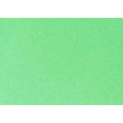 Бумага цветная А4 300г/м2 FOLIA зеленый изумруд 614/1054