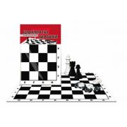Шахматы и шашки в пакете + поле 28*28см ИН-0159