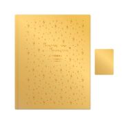 Дневник мл.кл. к/зам 9455 «Дневник принцессы» (золотой) экокожа soft-touch