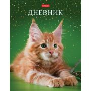 Дневник универс. 7БЦ 40л. 40ДТ5В_28474 Рыжий котик (078810) Hatber