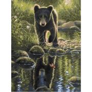 Картина по номерам на холсте 50х40 «Медвежонок» КН5040814
