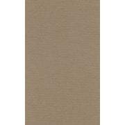 Бумага для пастели 42*29,7 160г LANA светло-коричневый