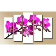 Картина модульная 80*140см Орхидея фиолетовая на белом 938