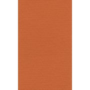 Бумага для пастели 42*29,7 160г LANA оранжевый
