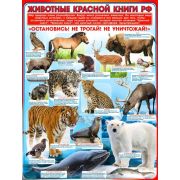 Плакат школьный Животные Красной книги РФ Р2-283