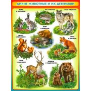 Плакат А2 Дикие животные и их детеныши Р2-191