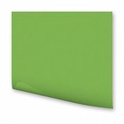 Бумага цветная 50*70см 130г/м2 FOLIA светло-зеленый 6751