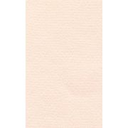 Бумага для пастели 50*65 25л LANA розовый кварц