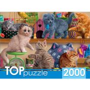 Пазлы 2000эл. ХТП2000-1596 Смешные котята в зоомагазине