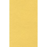 Бумага для пастели 50х65 LANA св.-желтый