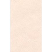 Бумага для пастели 21*29,7 160г LANA розовый кварц