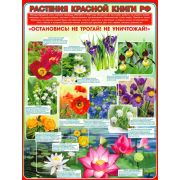 Плакат школьный Растения красной книги РФ Р2-285