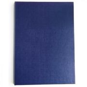 Папка для дипломных работ БЕЗ НАДПИСИ (Без бумаги) синие 10ДР00