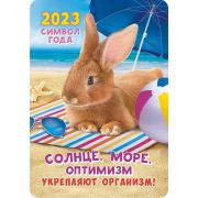 Календарики карманные 2023г. Символ года (коллаж) КГ-23-198