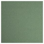 Бумага для пастели 21*29,7 160г LANA зеленый еловый